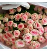 Монобукет из 15 веточек кустовых роз  4