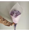Лавандовые лепестки гортензии  2