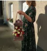 Цветы в ящике Волшебный фонарь  1